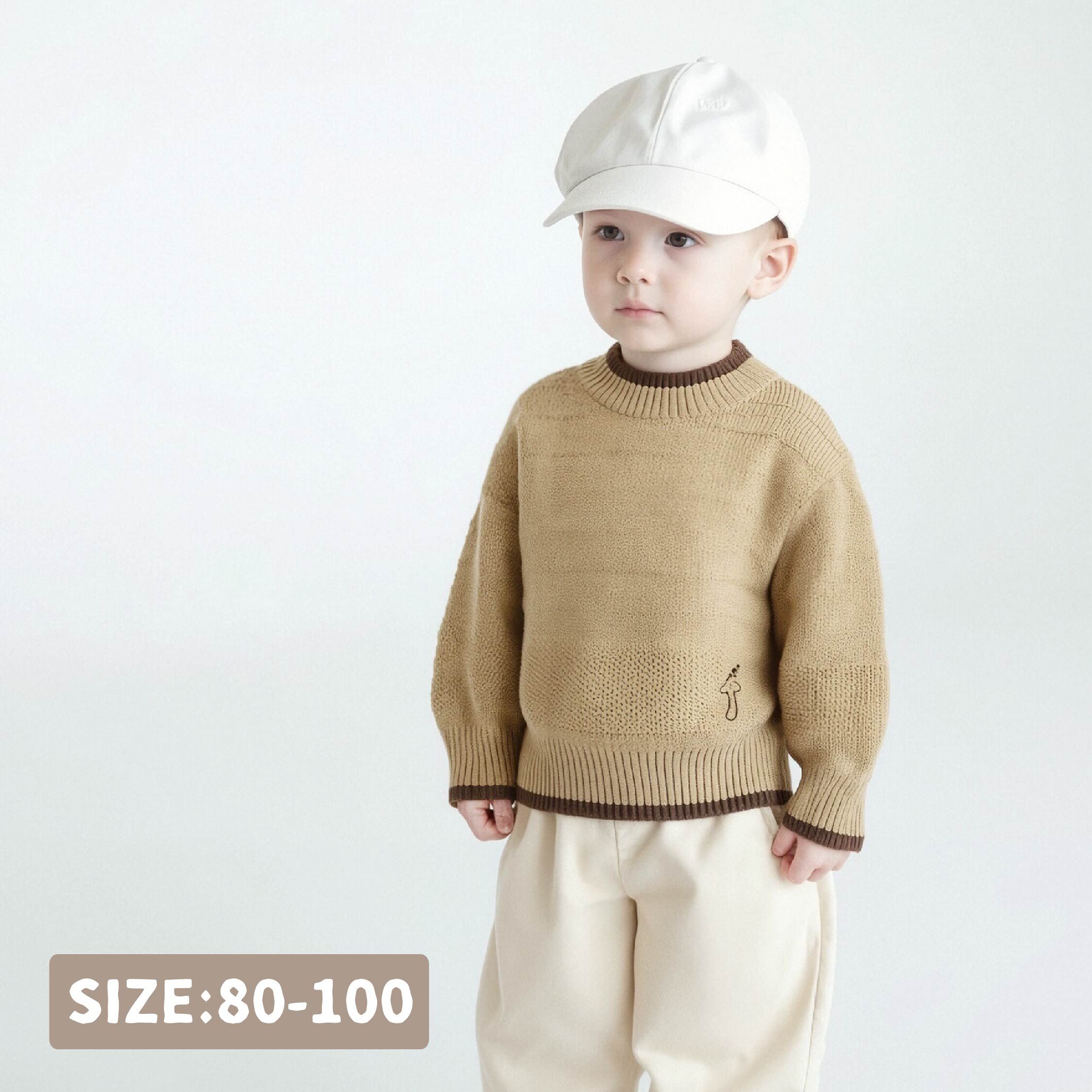 【H55685】質感圖案刺繡針織毛衣