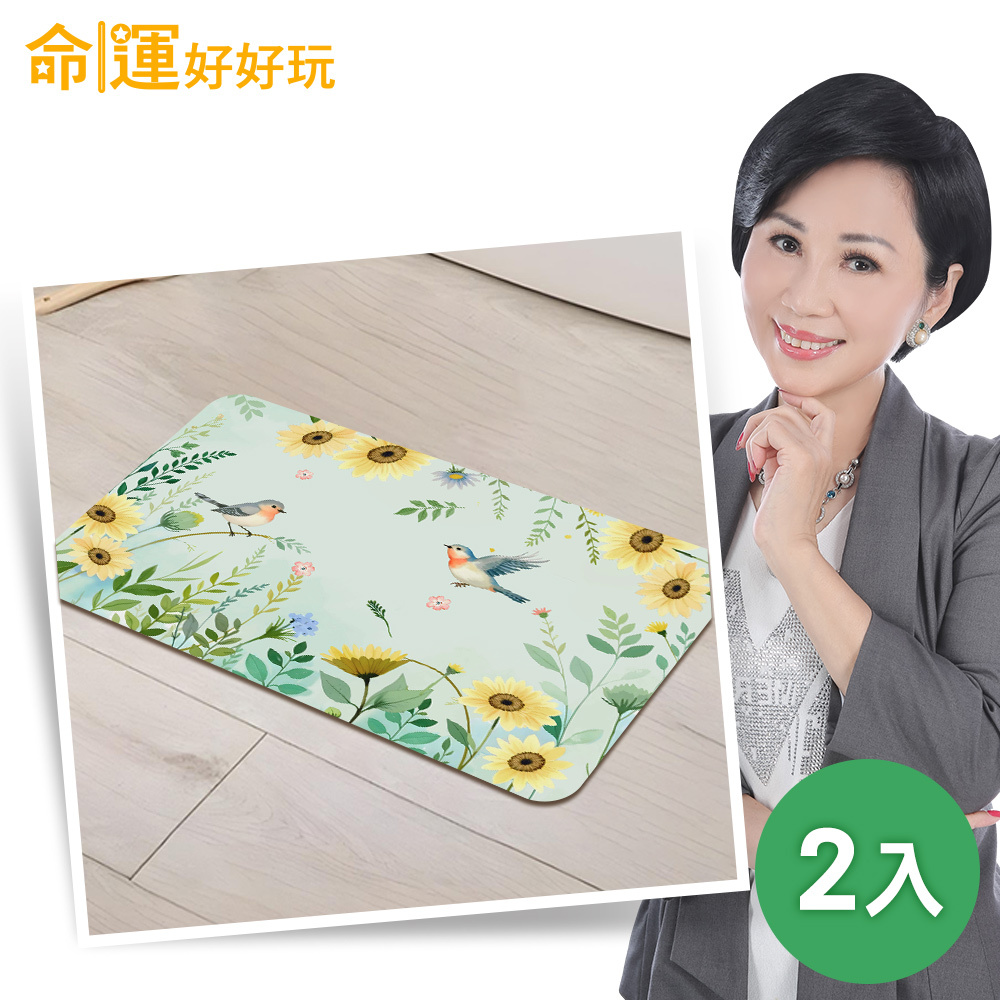 【命運好好玩】扶搖報喜鵲硅藻土地墊(2入) (廠商直出、不參加免運及滿額贈優惠)