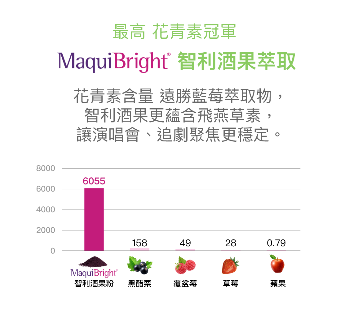 手機演唱會內容