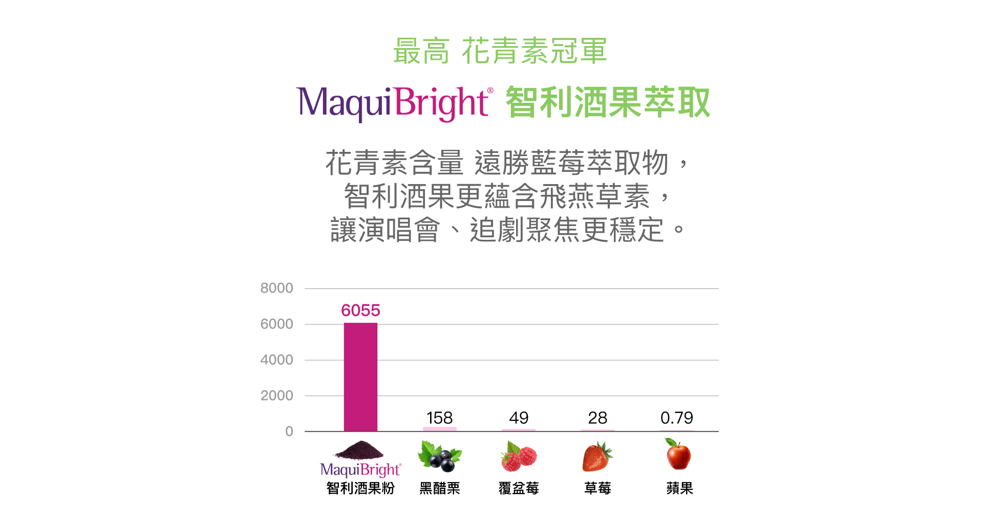 桌機演唱會內容