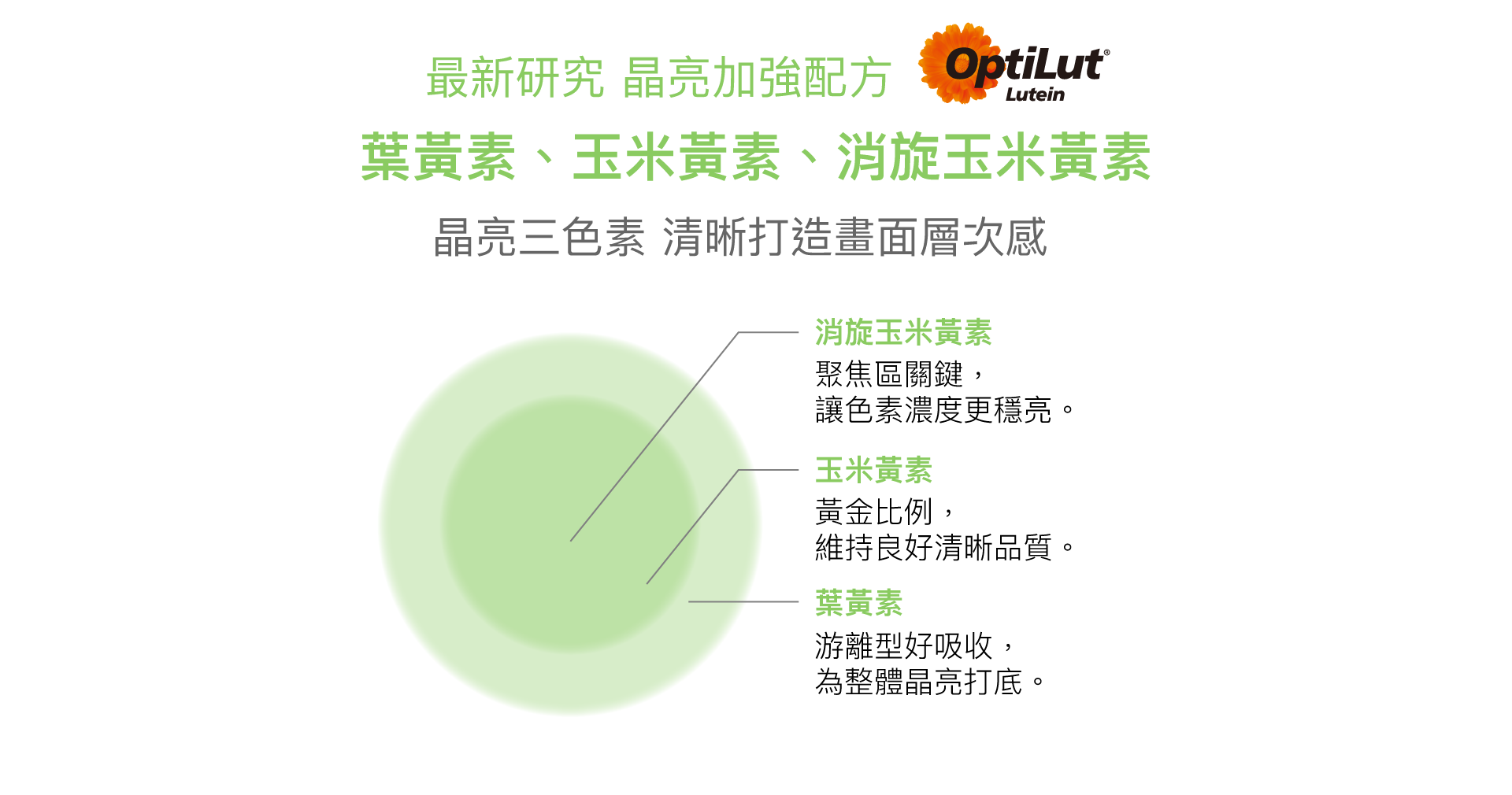 桌機葉黃素內容