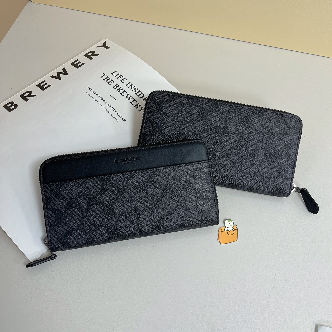 accordion wallet in signature canvas