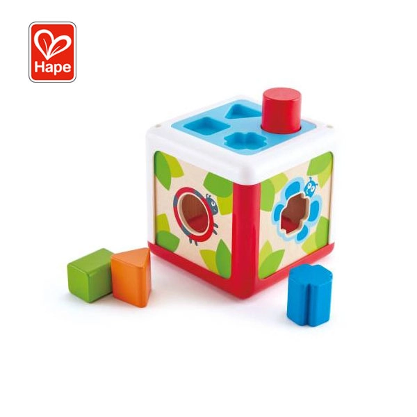 Hape Shape Sorting Box, E0507