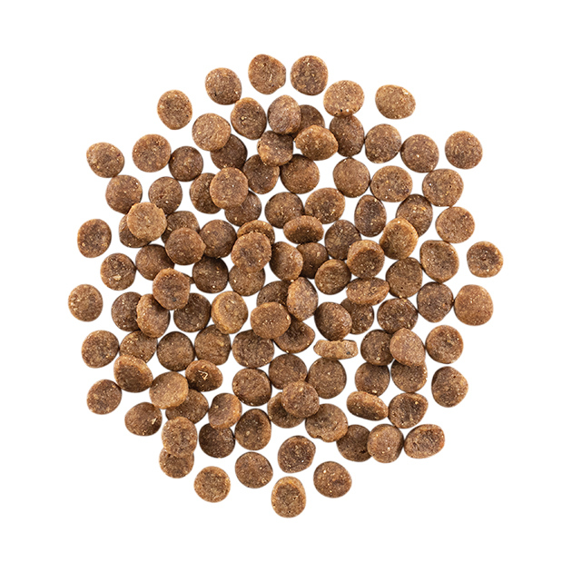 GO! Solutions 活力營養系列 無穀物 三文魚鱈魚 全貓配方 8LB [ Carnivore ]