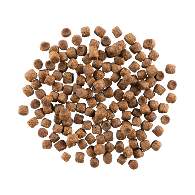 GO! Solutions 活力營養系列 無穀物 雞肉火雞鴨肉 全貓配方 16LB [ Carnivore ]