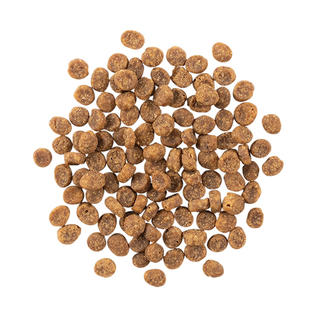 GO! Solutions 低敏美毛系列 無穀物 鴨肉 全貓配方 8LB [ Sensitivities ]