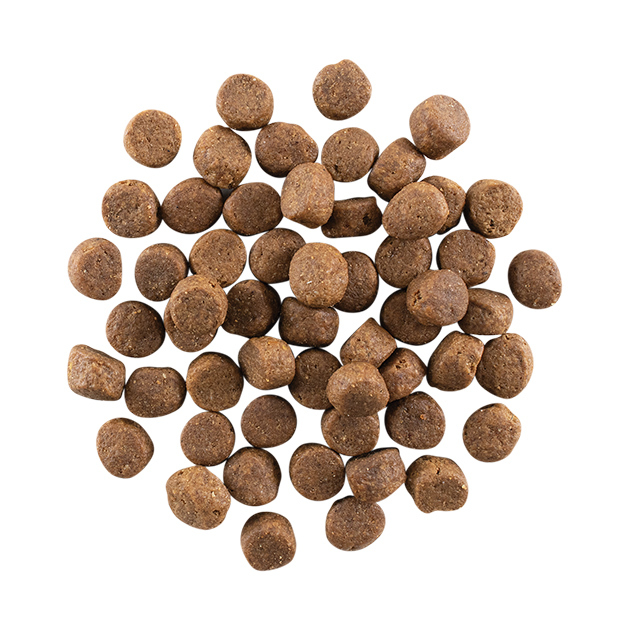 GO! Solutions 活力營養系列 無穀物 雞肉火雞鴨肉 成犬配方 22LB [ Carnivore ]