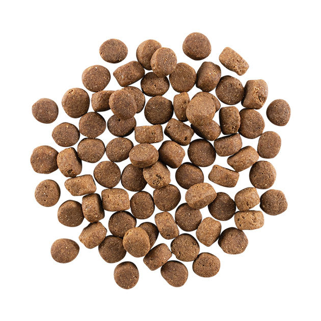 GO! Solutions 活力營養系列 無穀物 雞肉火雞鴨肉 老齡犬配方 22LB [ Carnivore ]