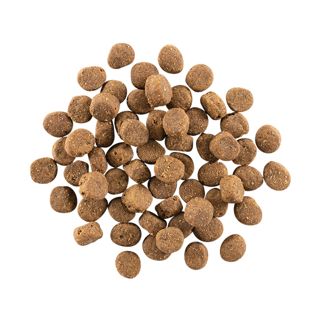 GO! Solutions 活力營養系列 無穀物 三文魚鱈魚 全犬配方 22LB [ Carnivore ]