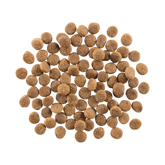 GO! Solutions 護膚美毛系列 雞肉+蔬果+糙米 全犬配方 22LB [Skin + Coat]