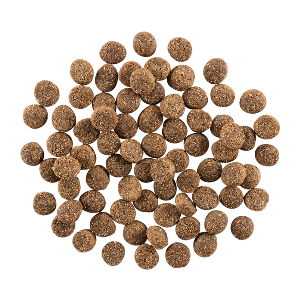 GO! Solutions 護膚美毛系列 三文魚+蔬果+燕麥 全犬配方 12LB [Skin + Coat]