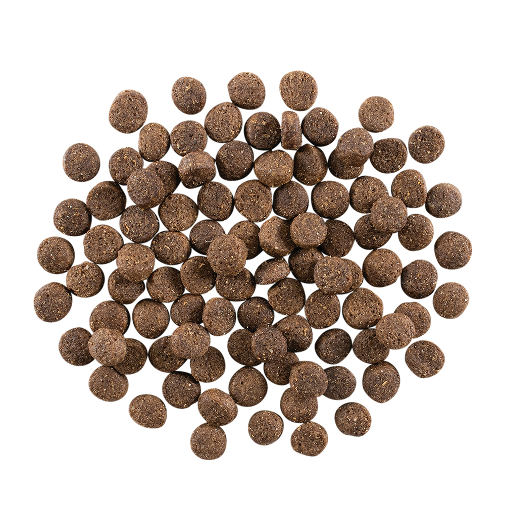 X停產X GO! Solutions 護膚美毛系列 羊肉+蔬果+糙米 全犬配方 22LB [Skin + Coat]