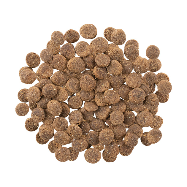 GO! Solutions 低敏美毛系列 無穀物 三文魚 全犬配方 12LB [ Sensitivities ]