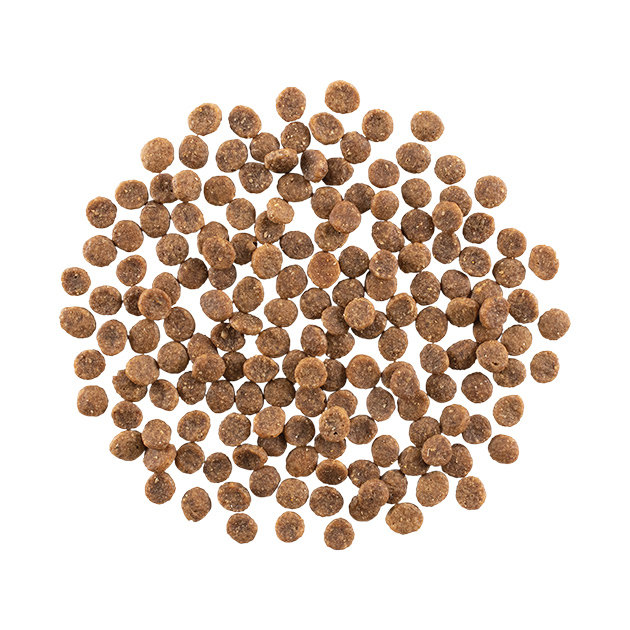 GO! Solutions 低敏美毛系列 小型犬 無穀物 三文魚 **細粒** 全犬配方 6LB