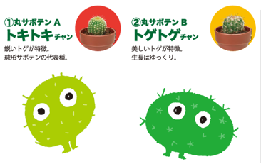 SeiShin GD-921 Green Capsule