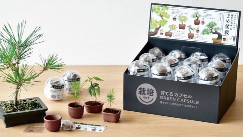 SeiShin GD-954 Growing Capsule-Bonsai Collection