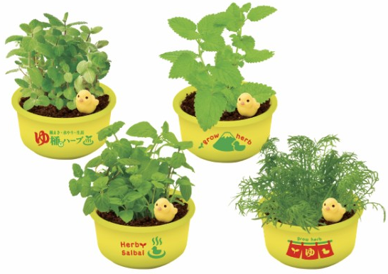 SeiShin GD-1035 Growing Capsules Herb Cultivation in a Cooking Bucket