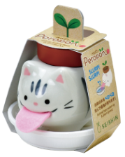 Seishin GD-94902 Peropon-Sabatra/Basil (individual Box)