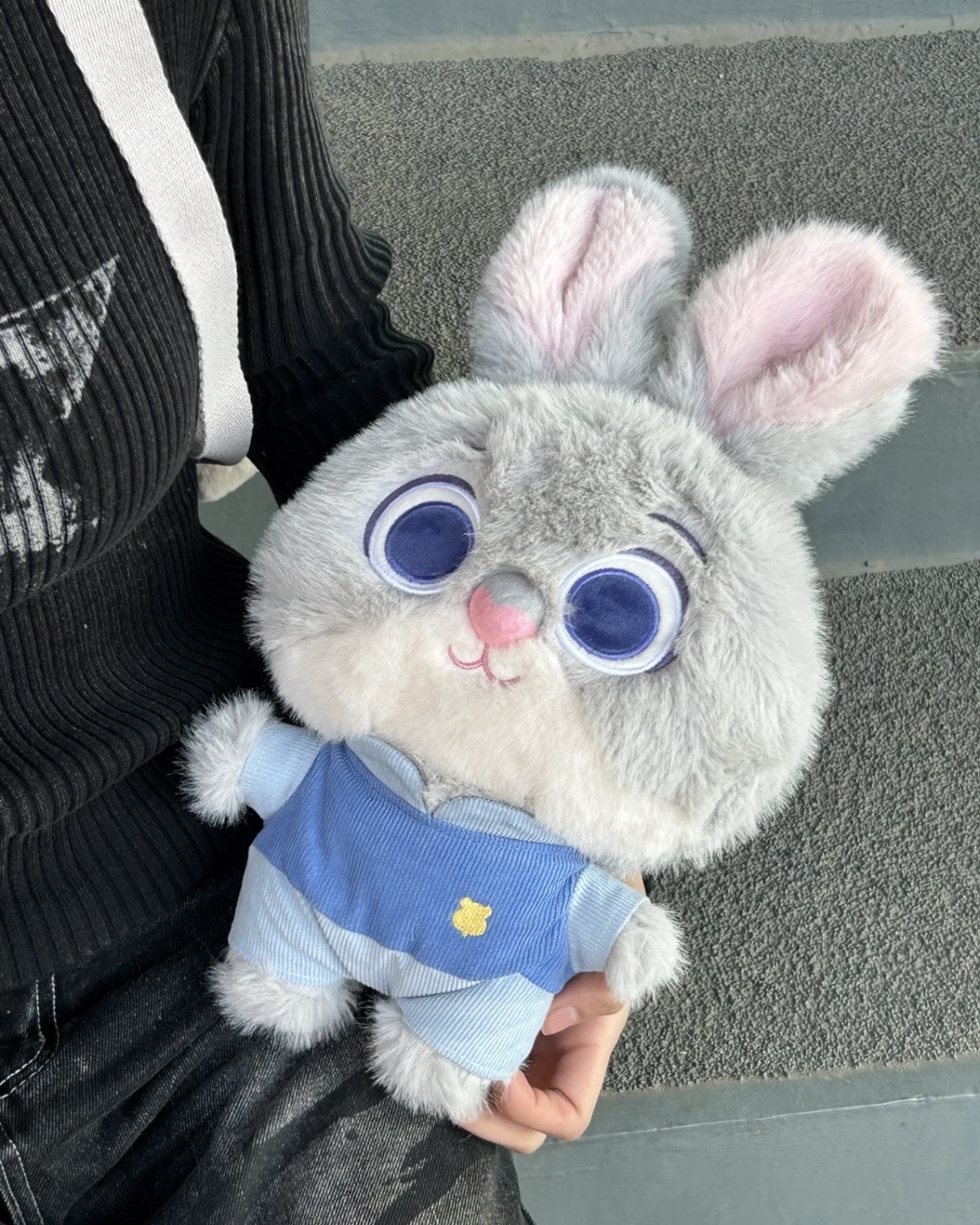 迪士尼 官方授權 DISNEY Zootopia 2 動物方城市2 茱蒂 尼克 快俠 樹懶 玩偶 / 預購