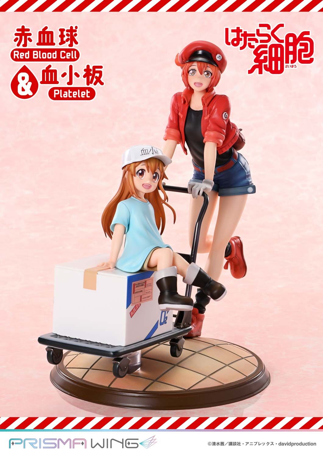 「ACG.GO」「預購」日版 Prime 1 Studio 工作細胞 血球&血小板 Non Scale Figure