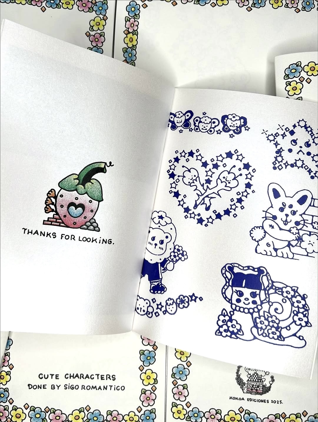 Sigo Romantico - Graffiti Flash Book