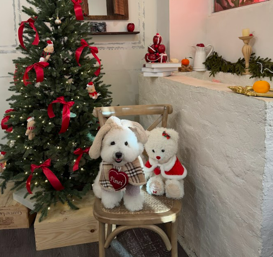 💖 手作愛心刺繡寵物吊飾(大/小單件)