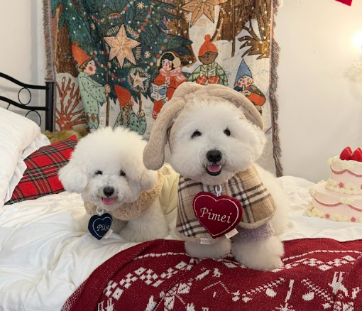 💖 手作愛心刺繡寵物吊飾(大/小單件)