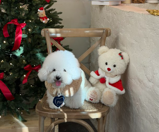 💖 手作愛心刺繡寵物吊飾(組合優惠)