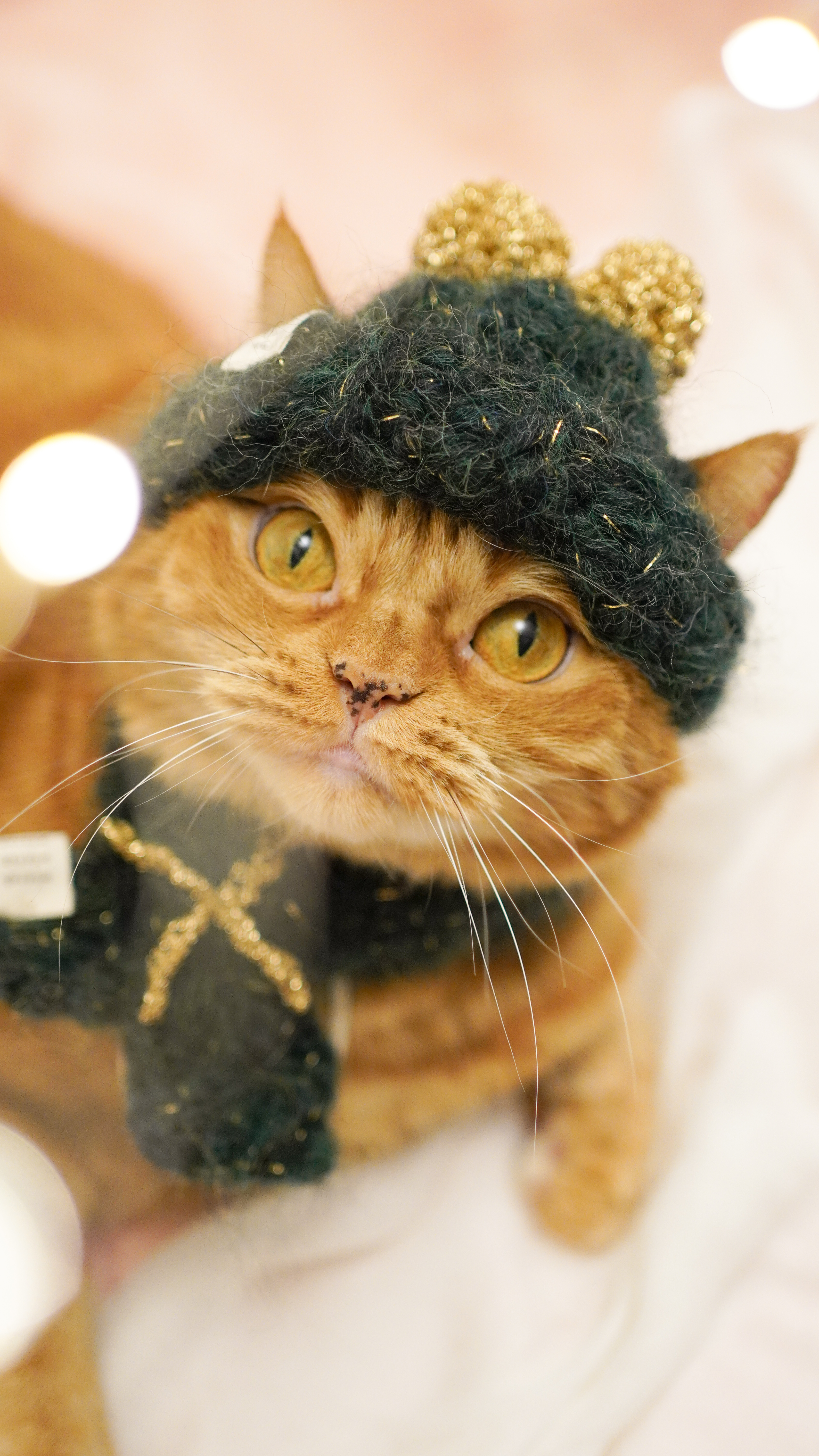 【QbabyXi】寵物聖誕毛帽