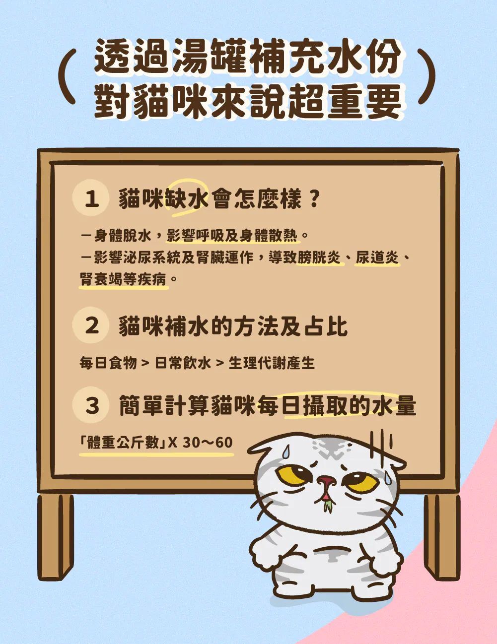 Hoorooroo 厚肉肉｜有料湯肉貓罐 80g (貓咪湯罐 補水罐)