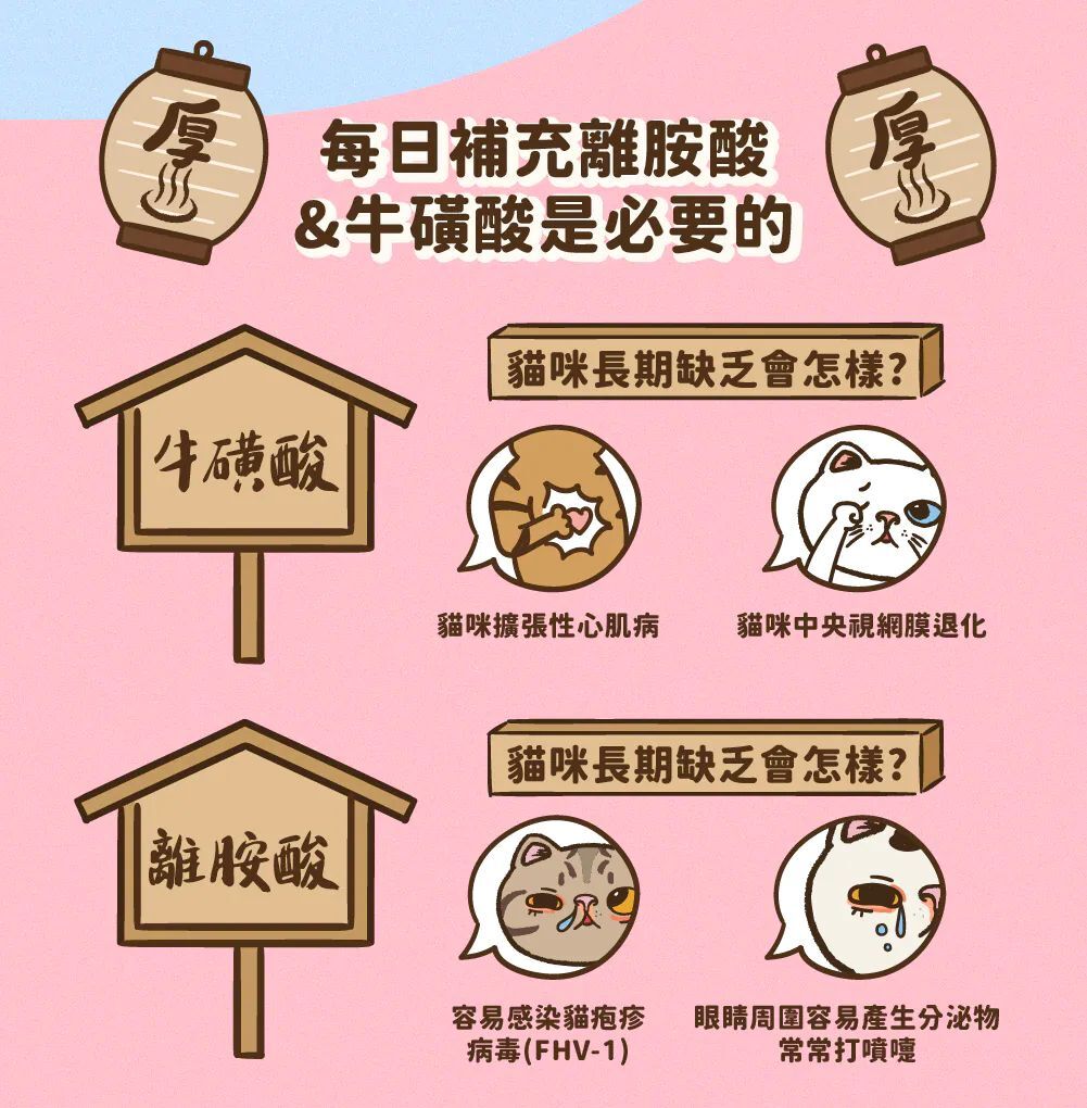 Hoorooroo 厚肉肉｜有料湯肉貓罐 80g (貓咪湯罐 補水罐)