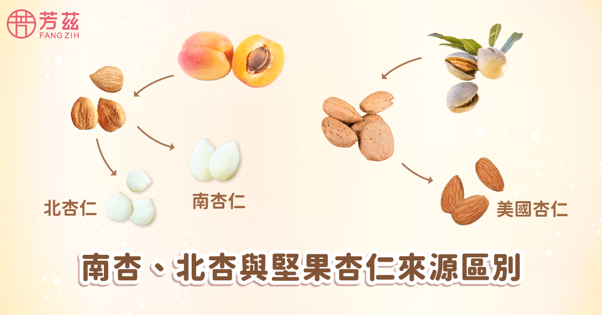 南北杏與堅果杏仁來源區別