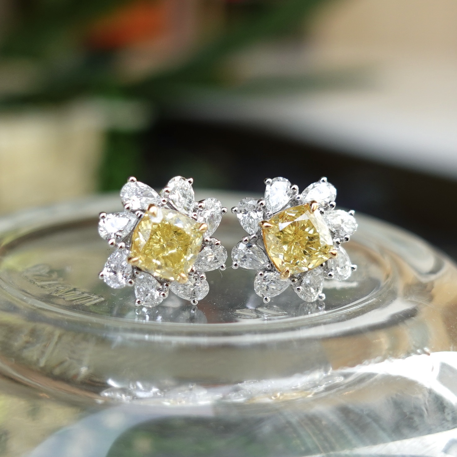 18K金天然彩黃鑽耳釘 - 太陽花 (配GIA證書)