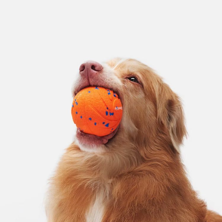 Cheerble -Wicked Ball AIR 智慧互動衝衝球