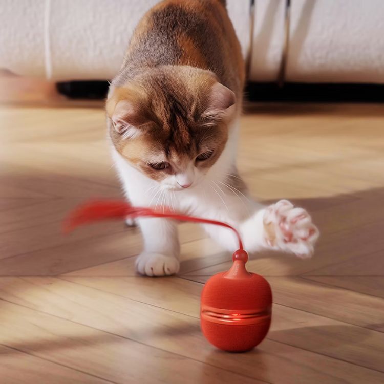 Cheerble - Wicked Ball Duo2 瘋狂聰明逗