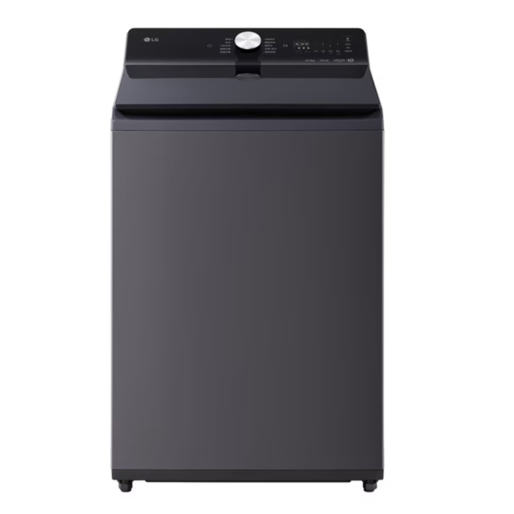 LG 樂金 20公斤 Wi-Fi AIDD 蒸氣直驅變頻直立式洗衣機(WT-TD20HG)