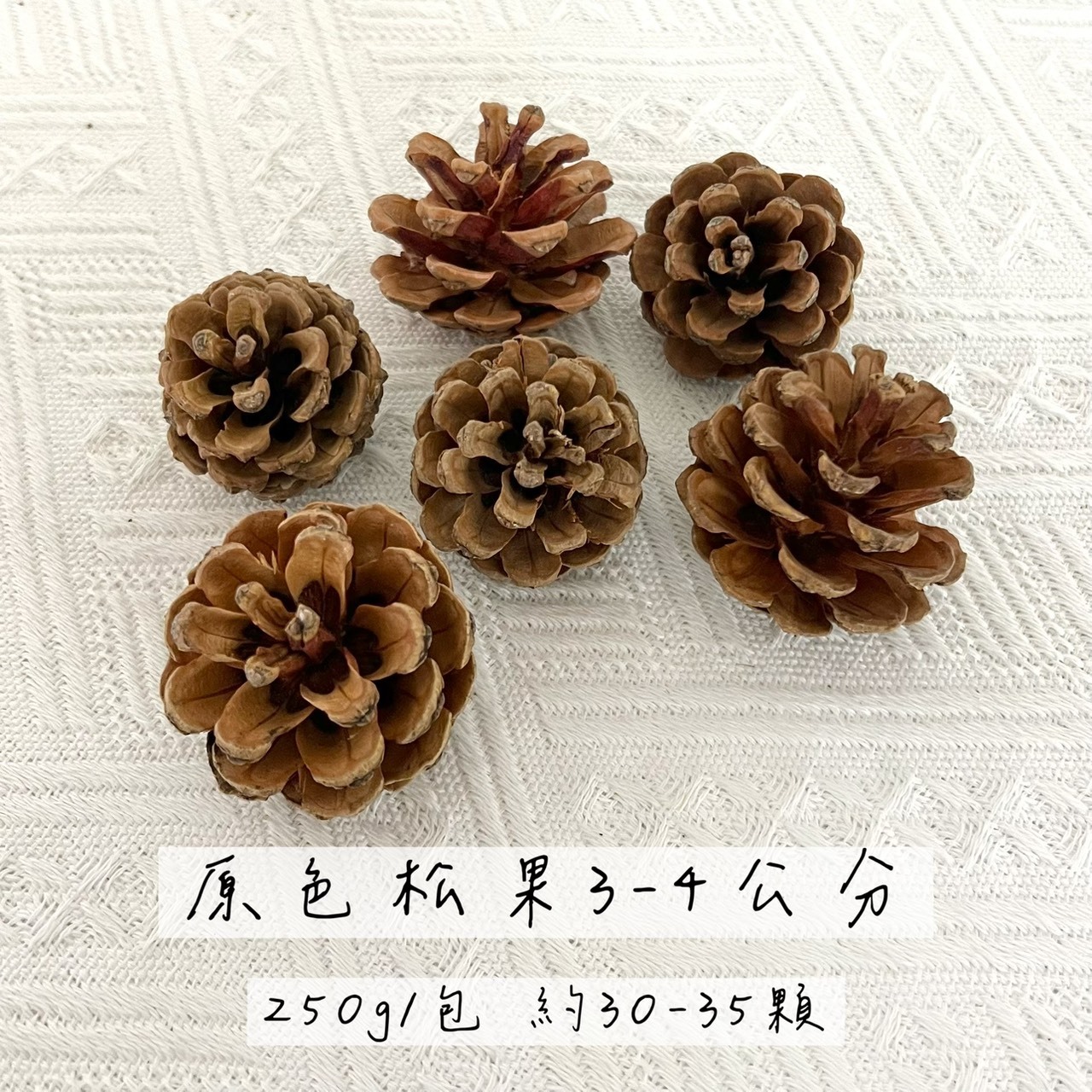 原色松果3-4公分(袋)