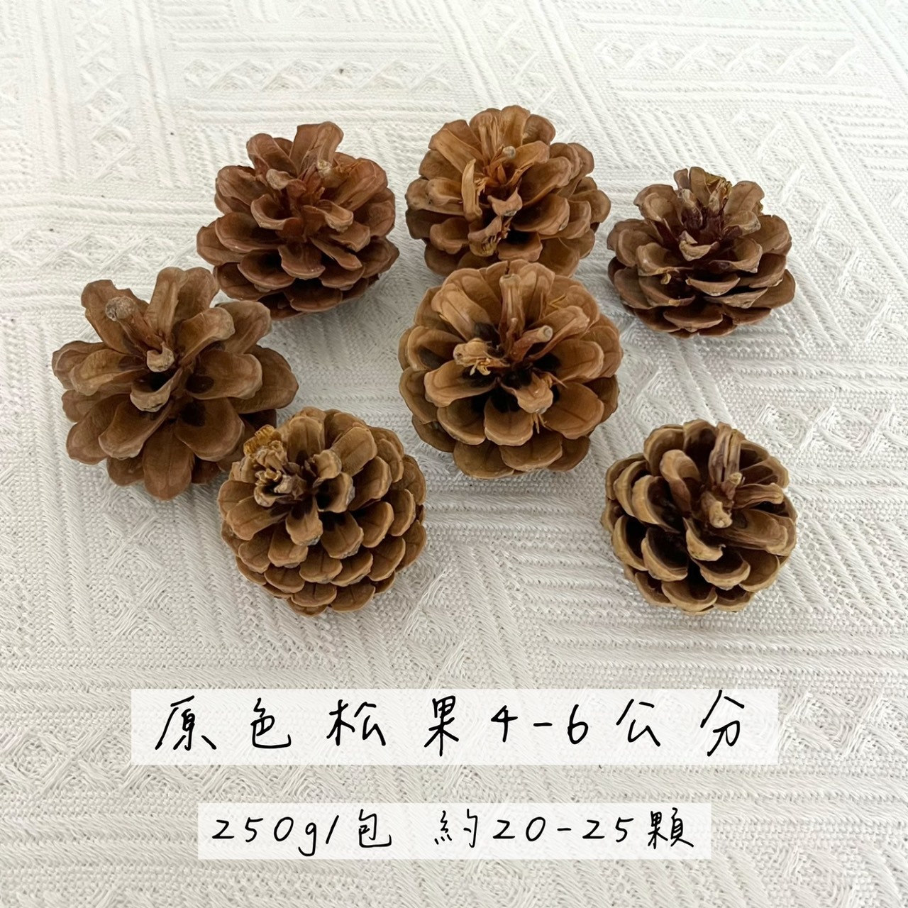 原色松果4-6公分(袋)