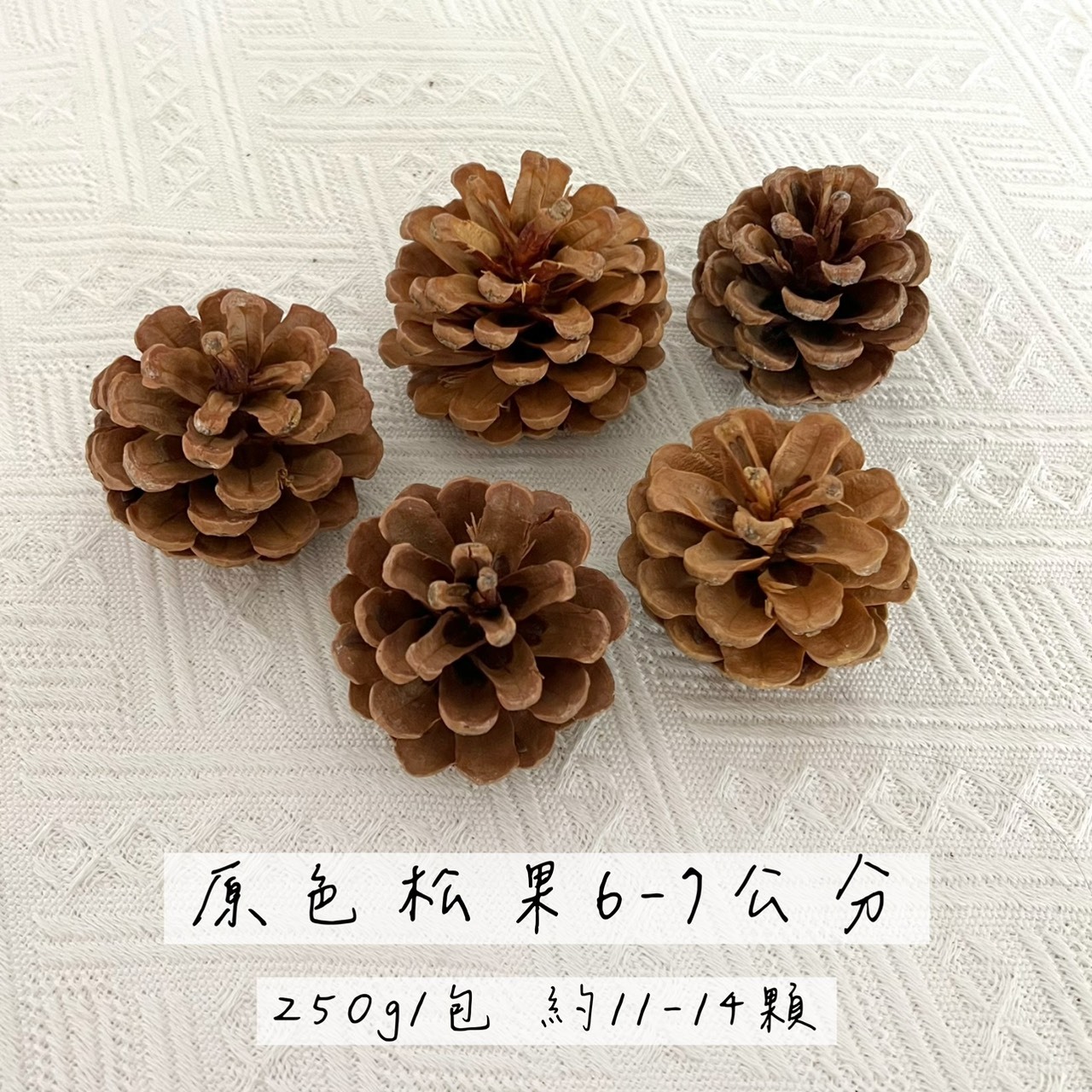 原色松果6-7公分(袋)