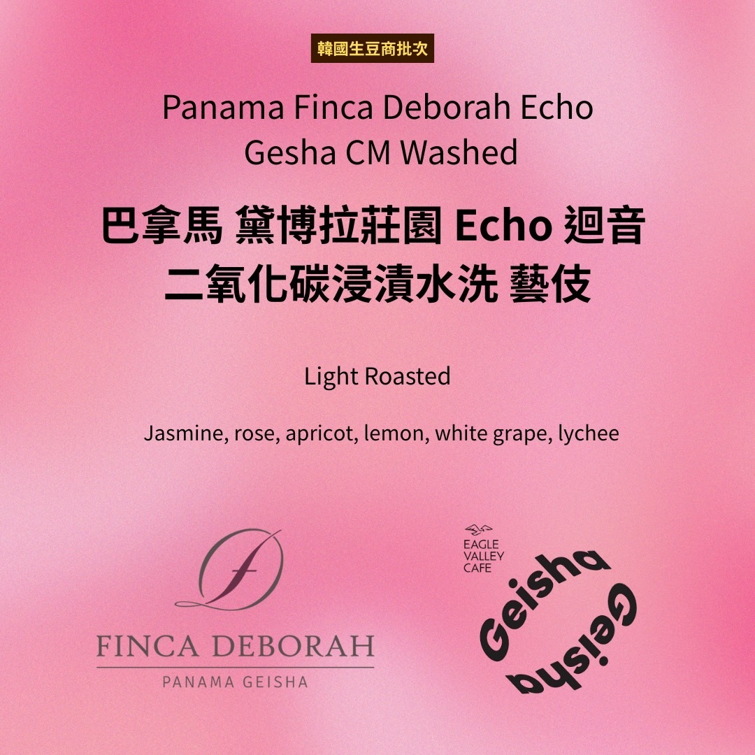 巴拿馬 黛博拉莊園 Echo 迴音 二氧化碳浸漬水洗 淺焙 咖啡豆