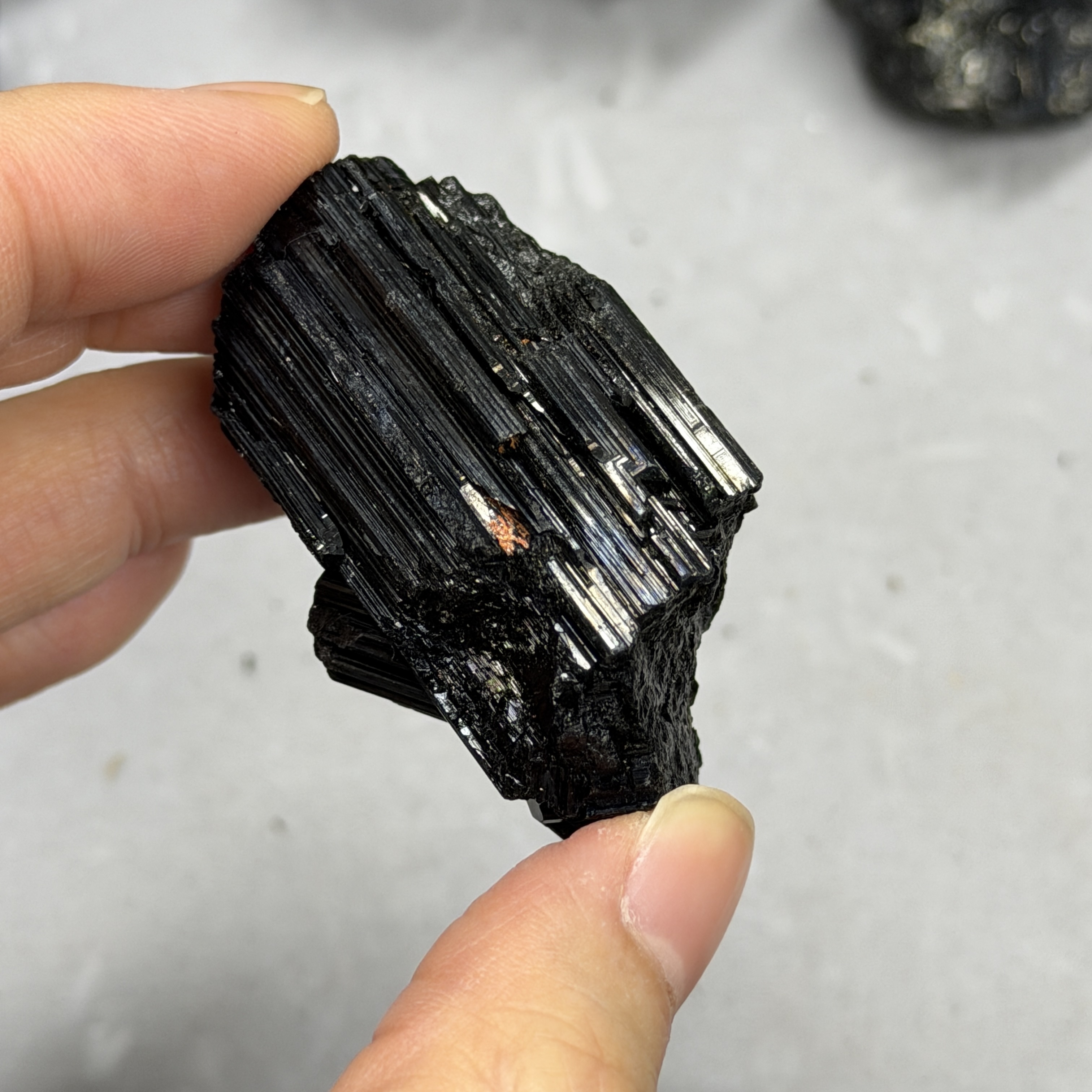 收藏品黑碧璽/電氣石礦標 TRR1782