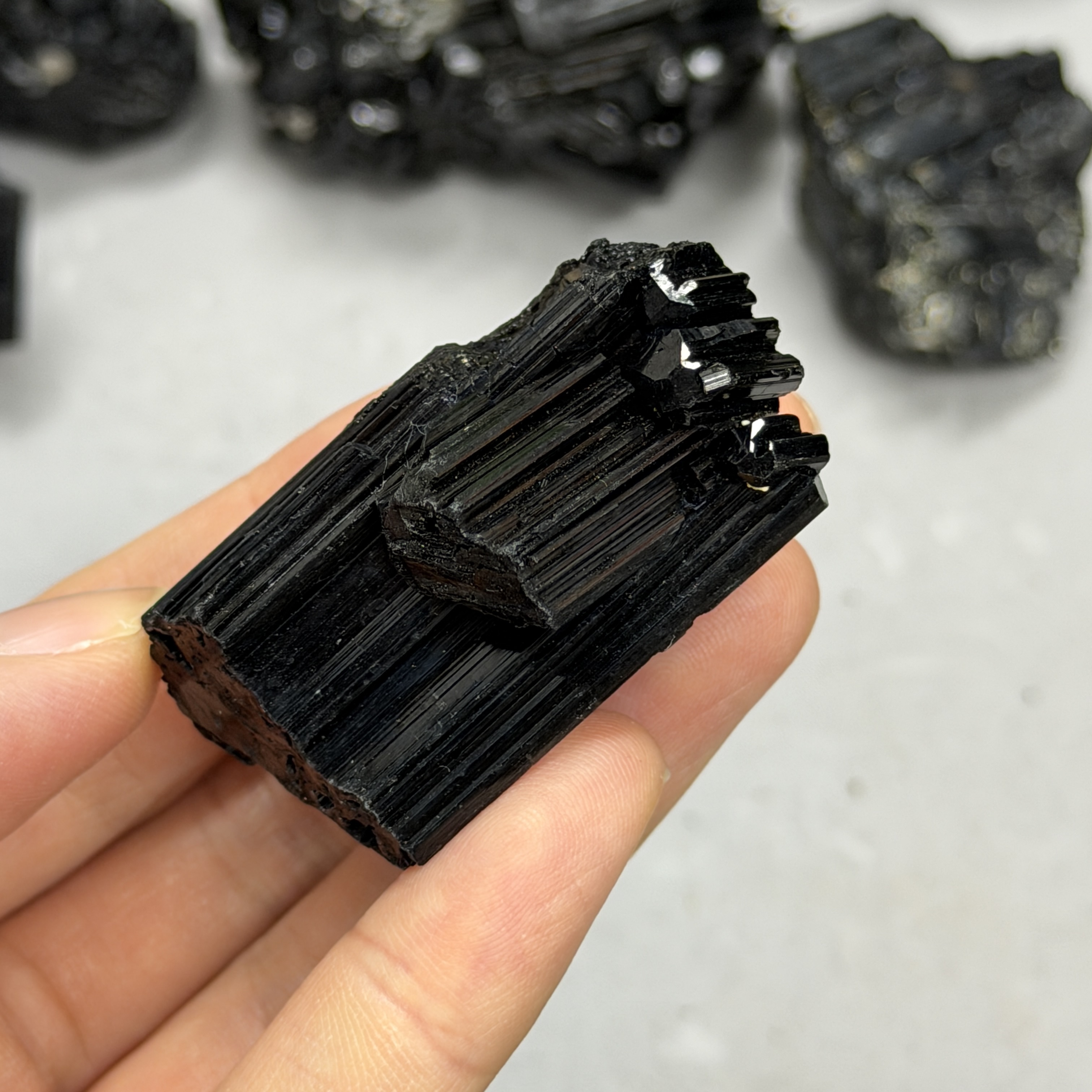 收藏品黑碧璽/電氣石礦標 TRR1782