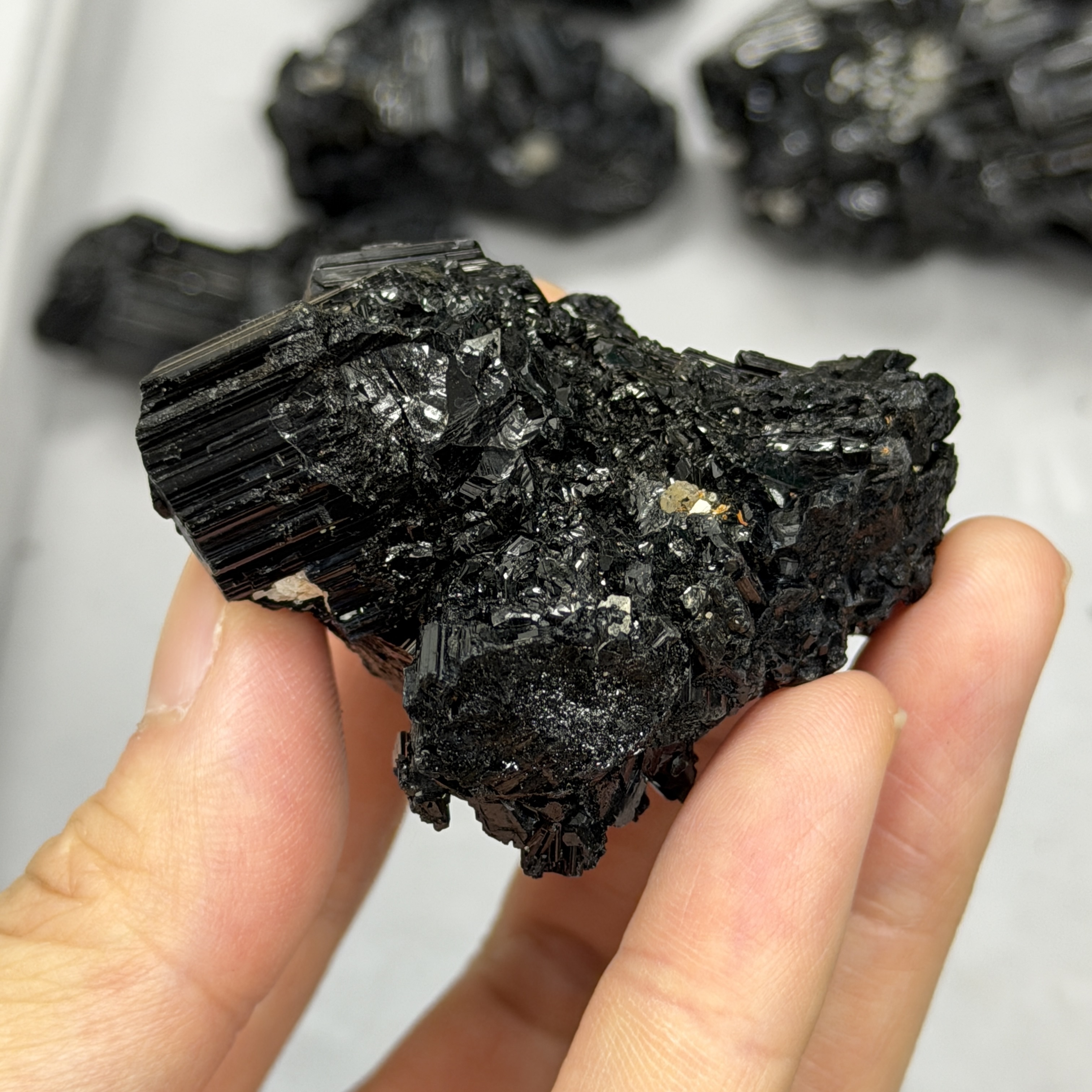 收藏品黑碧璽/電氣石礦標 TRR1781