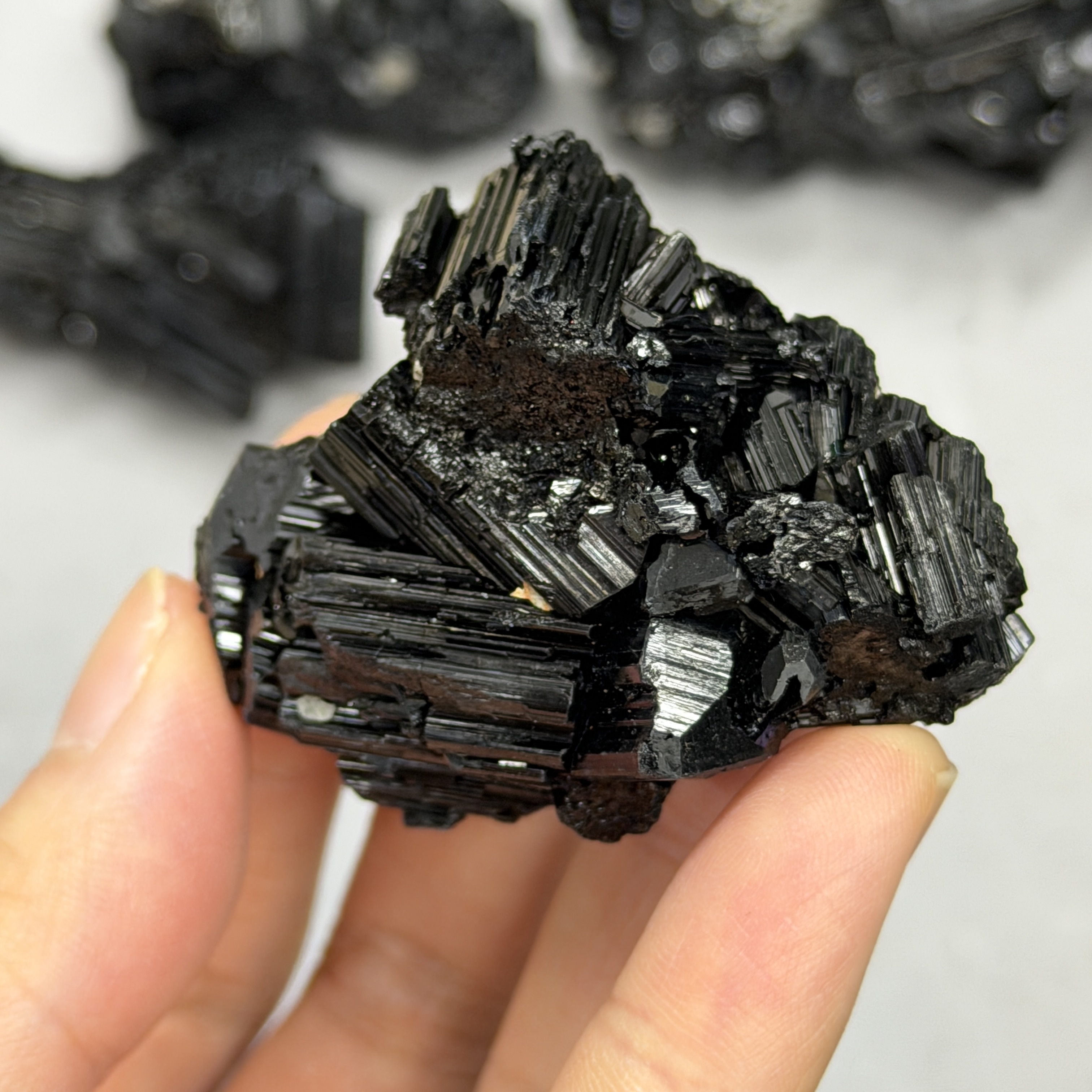 收藏品黑碧璽/電氣石礦標 TRR1781