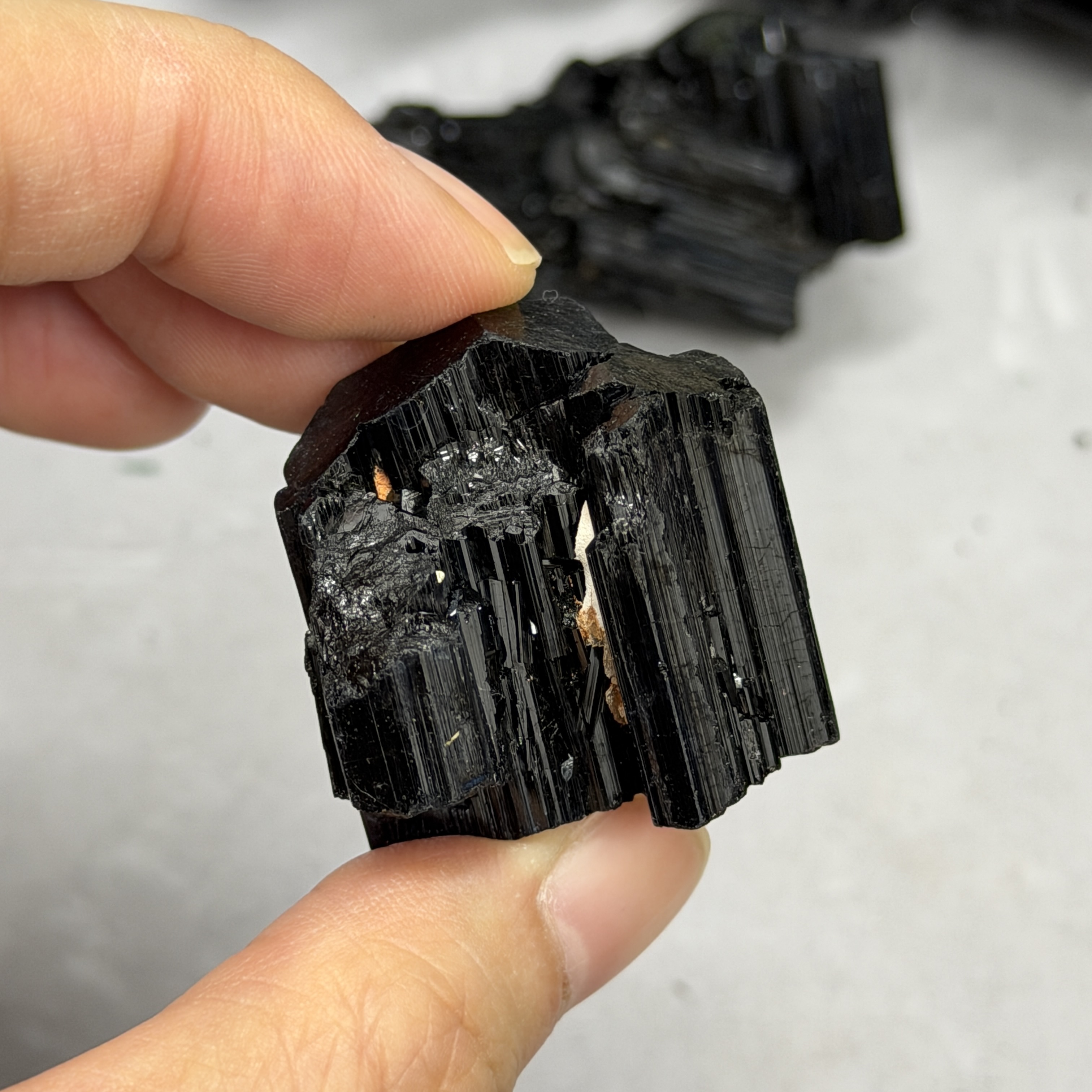 收藏品黑碧璽/電氣石礦標 TRR1780