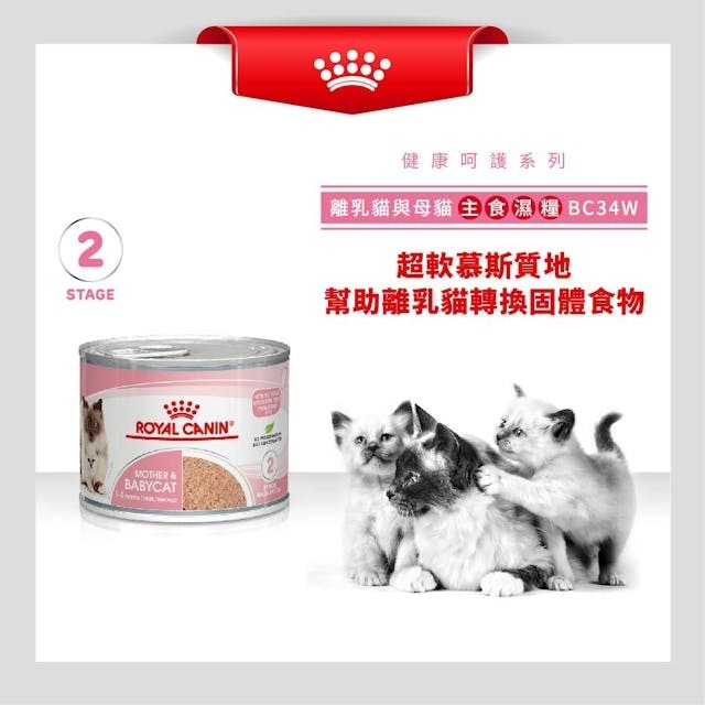 Royal Canin FHN 離乳貓及母貓營養主食罐  BB02【195gx12罐】