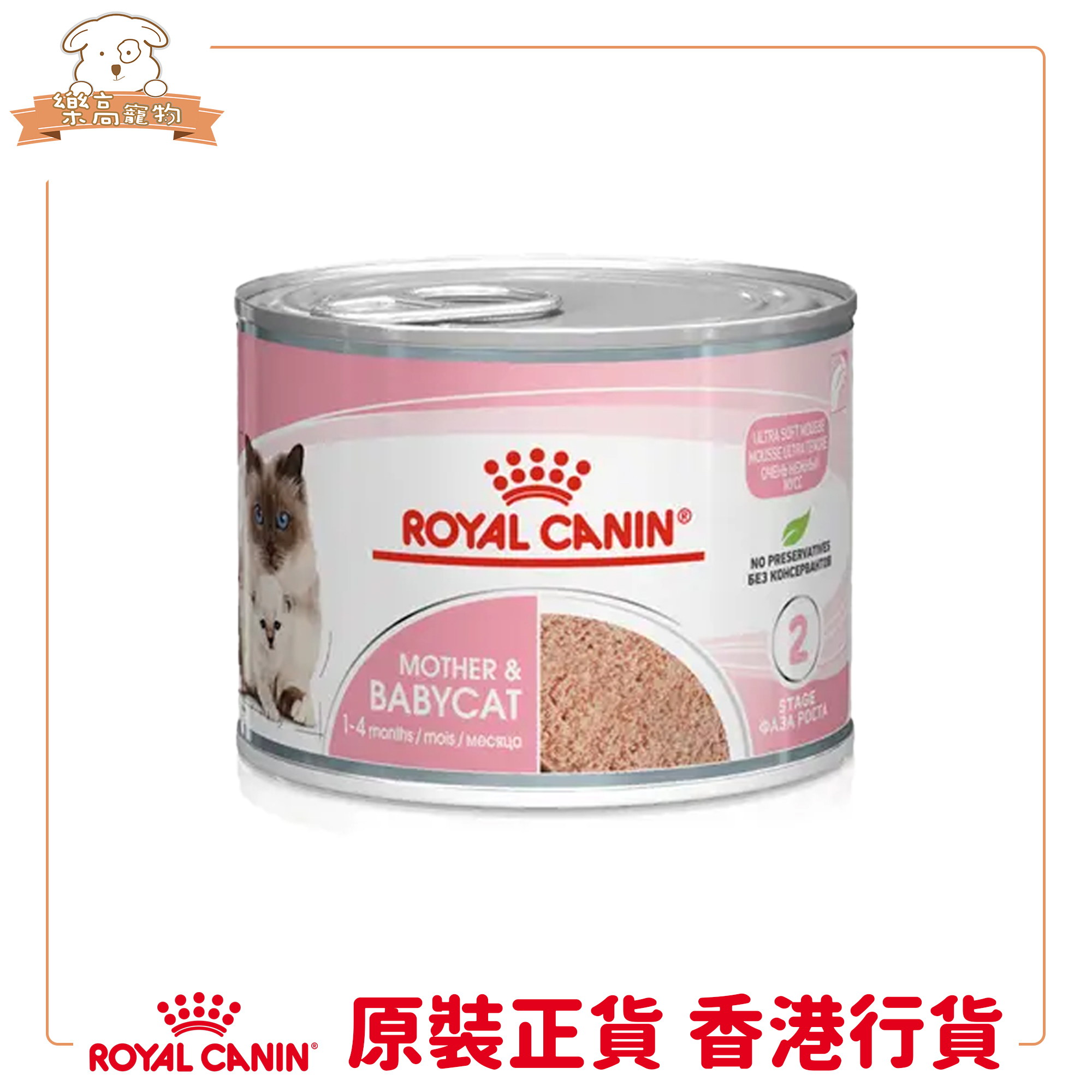Royal Canin FHN 離乳貓及母貓營養主食罐  BB02【195gx12罐】