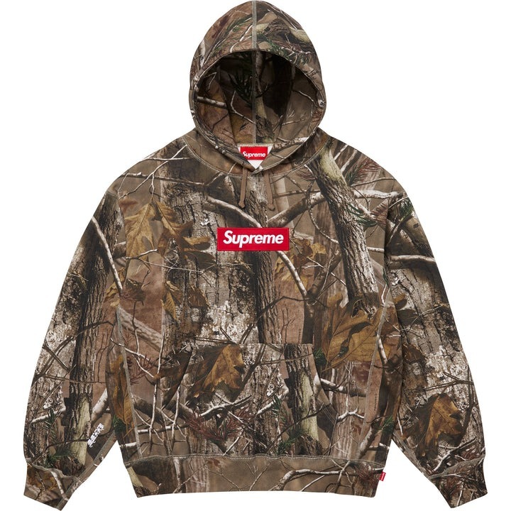 Supreme FW25 Box Logo Hooded Sweatshirt - Realtree AP Camo