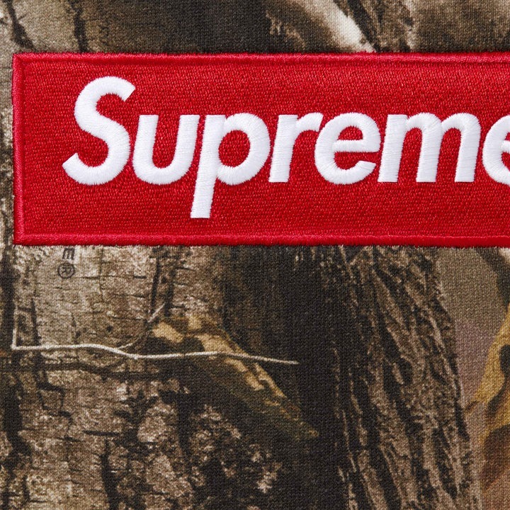 Supreme FW25 Box Logo Hooded Sweatshirt - Realtree AP Camo