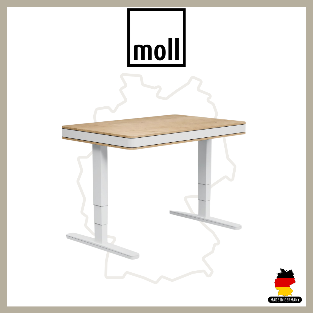 Moll T8 M Exclusive